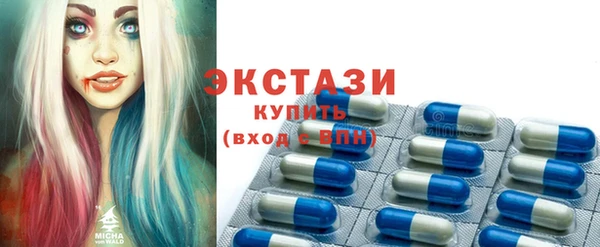 spice Богородицк