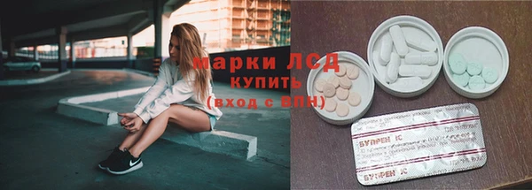 spice Богородицк