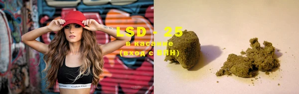 spice Богородицк