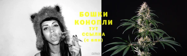 мяу мяу кристалл Богданович