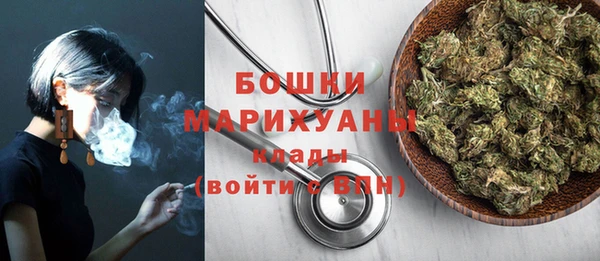 спиды Богородск