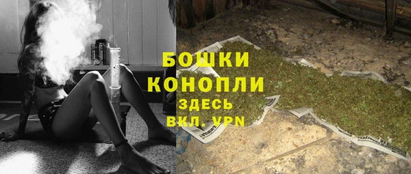 спиды Богородск