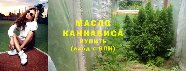 spice Богородицк