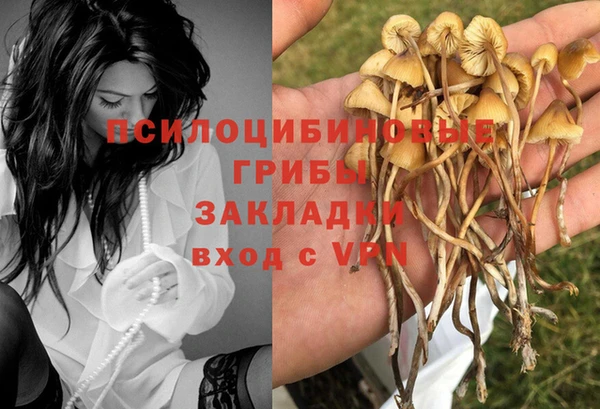 не бодяженный Шадринск